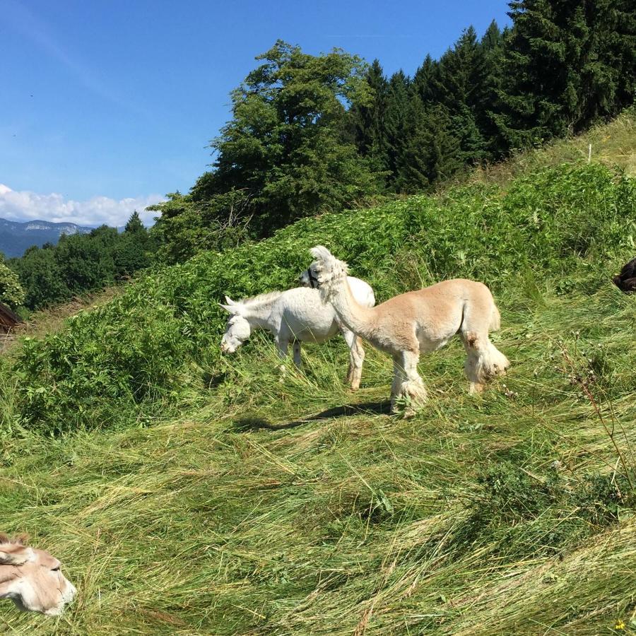 Гостевой дом Trentino In Malga: Malga Zanga Арко Экстерьер фото